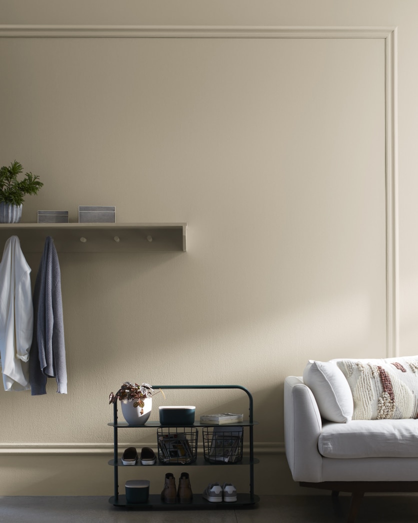 Painted wall in Gallery Buff CSP-225