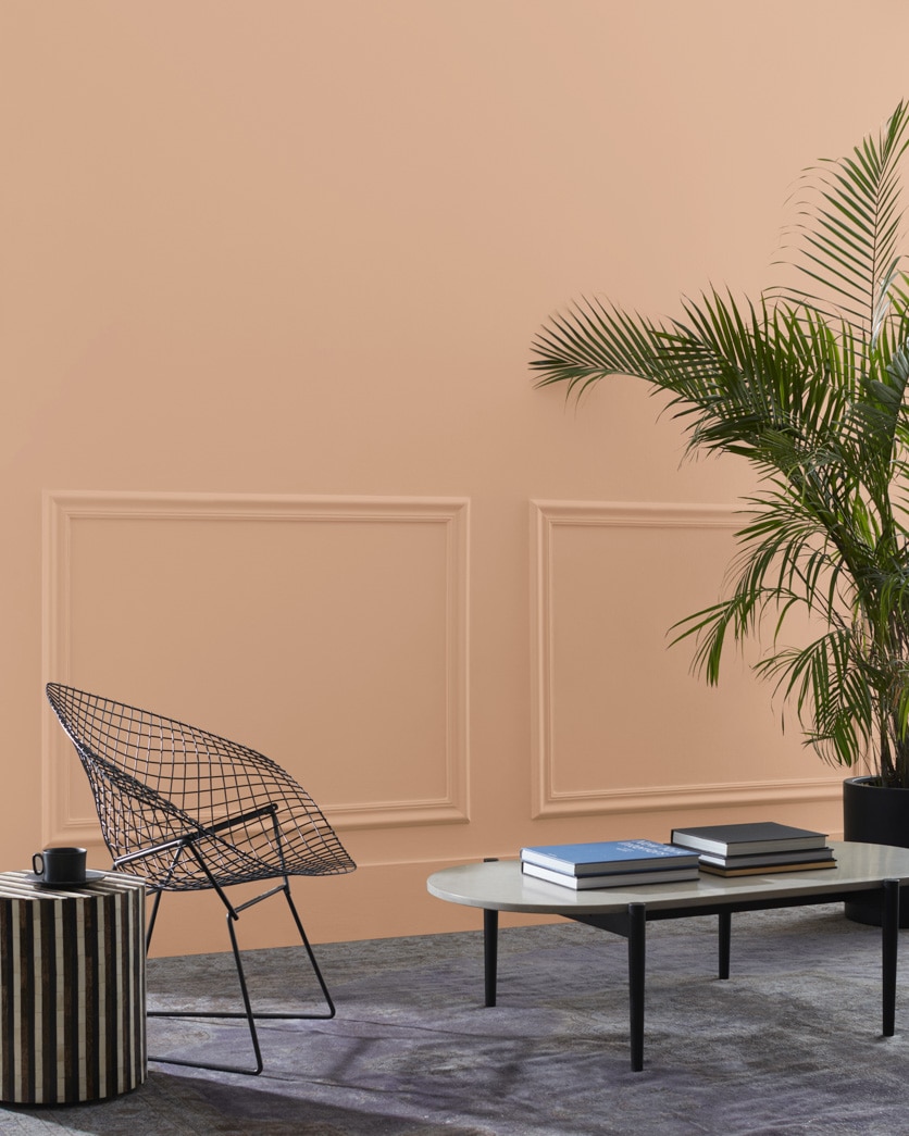 Painted wall in Galt Peach CW-210