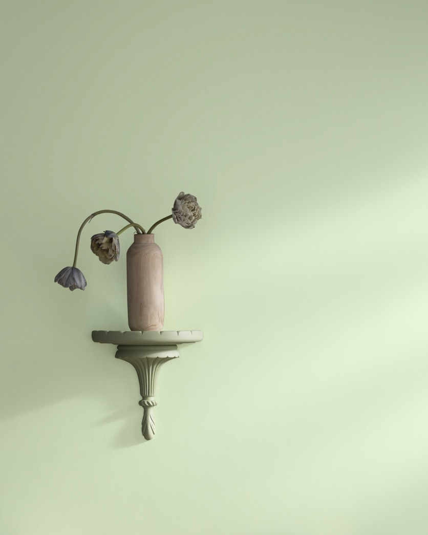 Painted wall in Garland Green 429