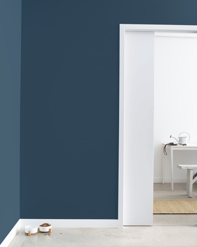 Painted wall in Gentleman's Gray 2062-20