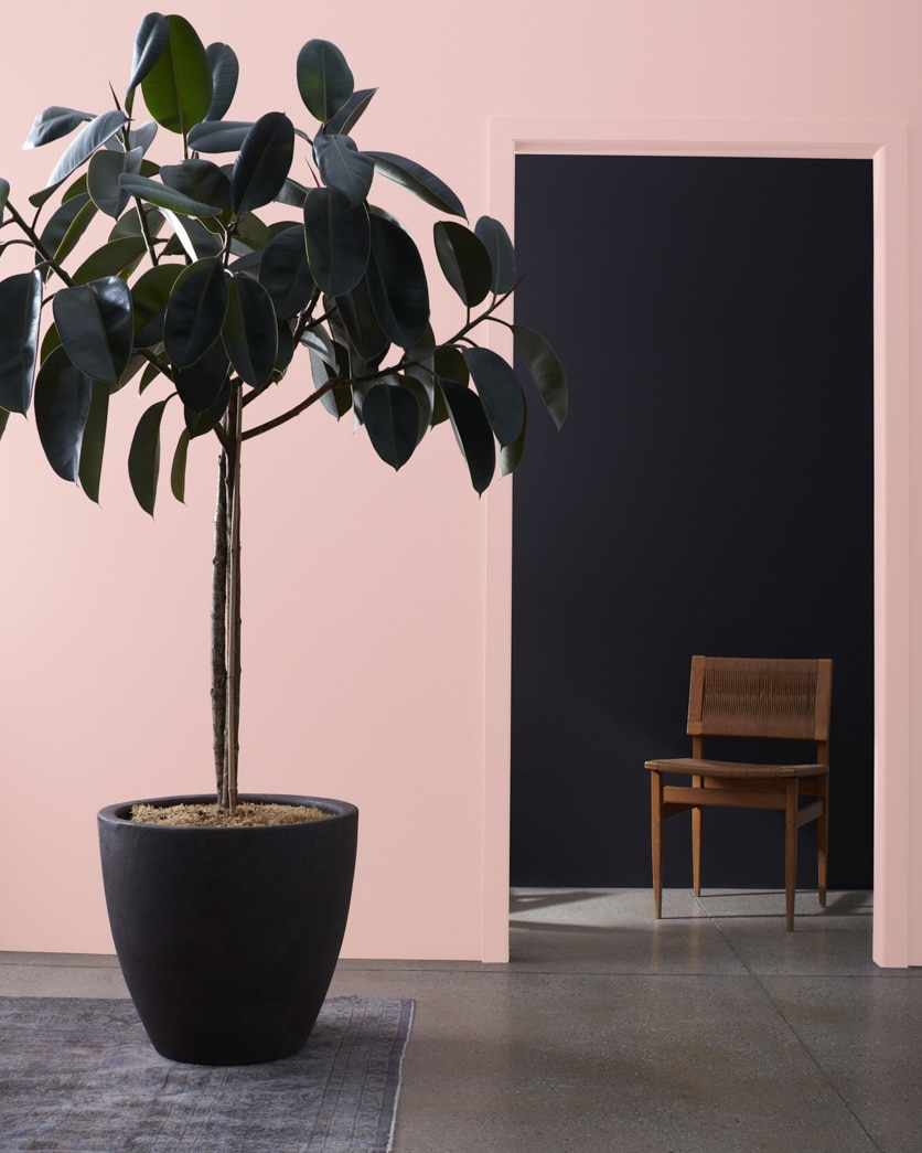 Painted wall in Georgia Pink 2092-60