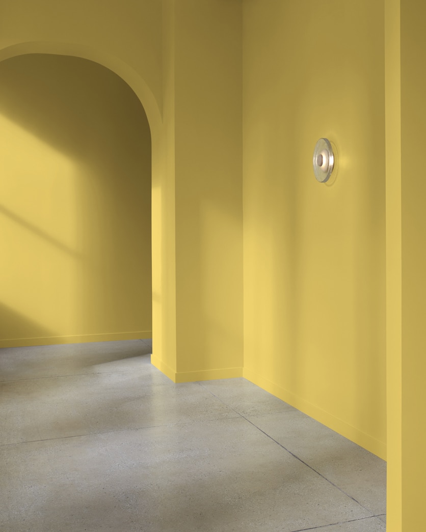 Painted wall in Gibson Gold 378