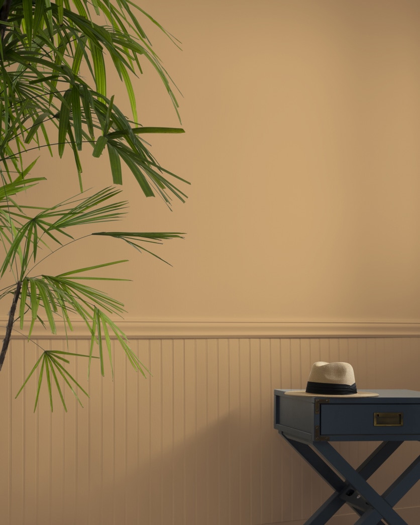 Painted wall in Ginger Root CC-274