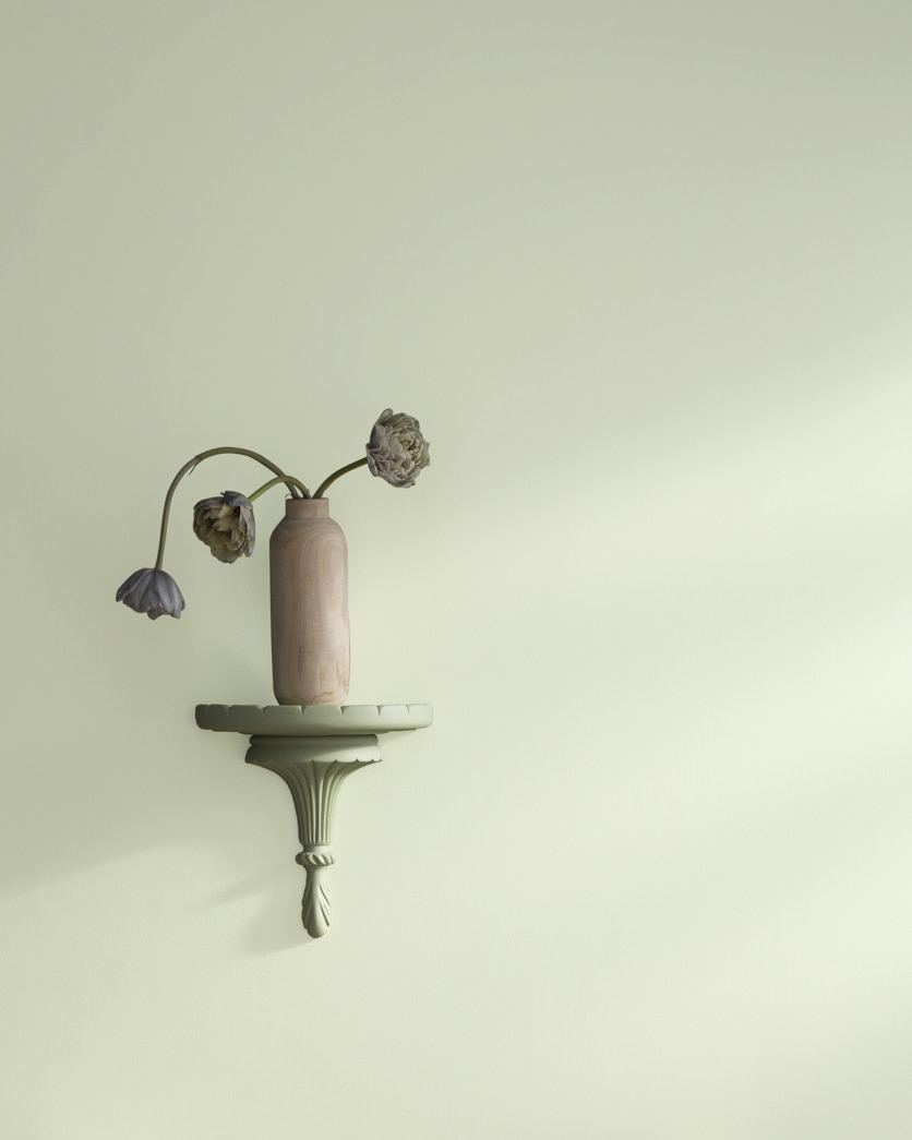 Painted wall in Glade Green 498