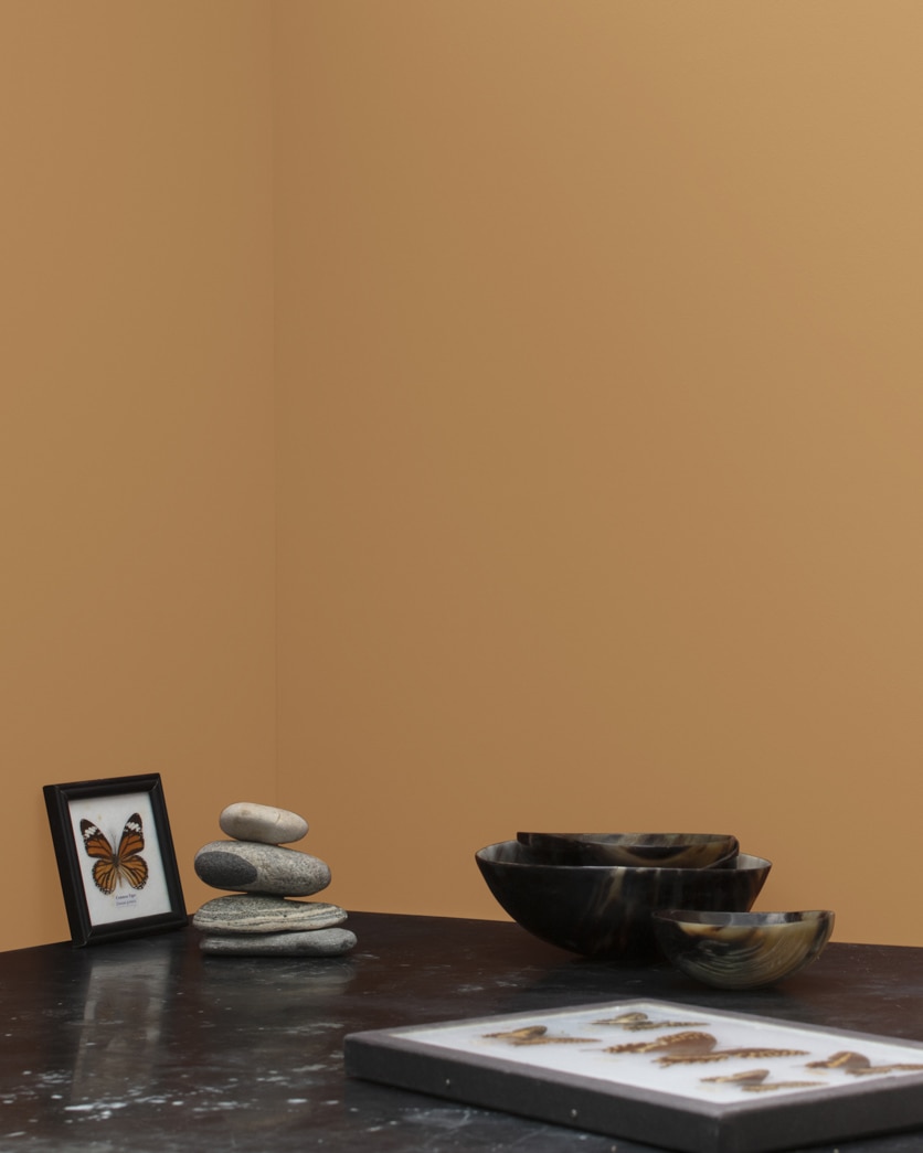 Painted wall in Gladstone Tan 1106