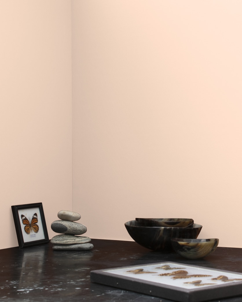 Painted wall in Golden Beige 100