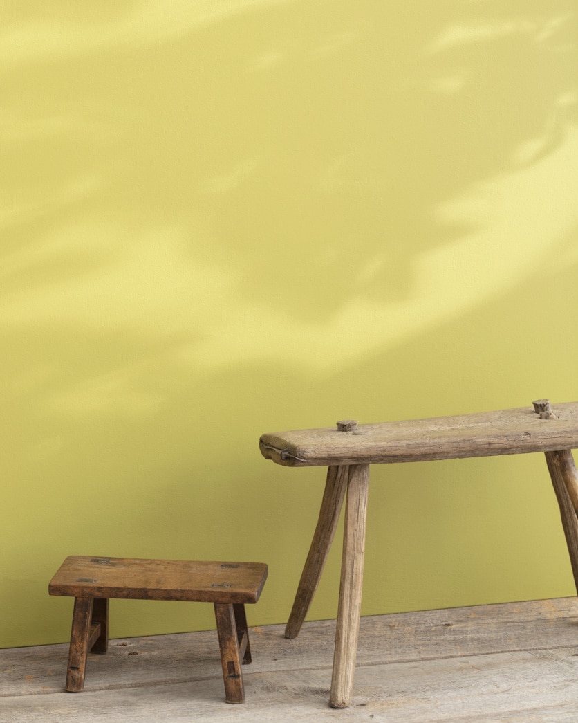 Painted wall in Golden Delicious 390