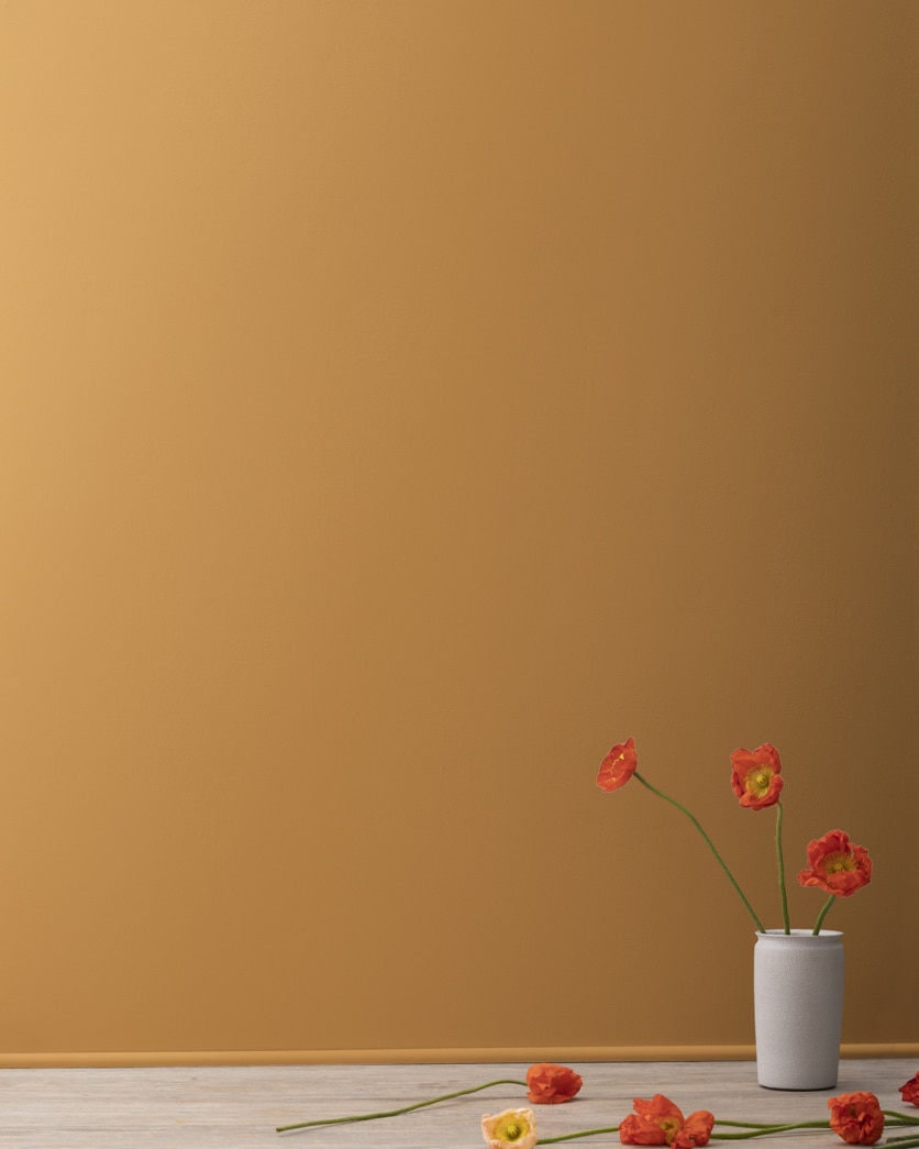 Painted wall in Golden Meadow 2165-20