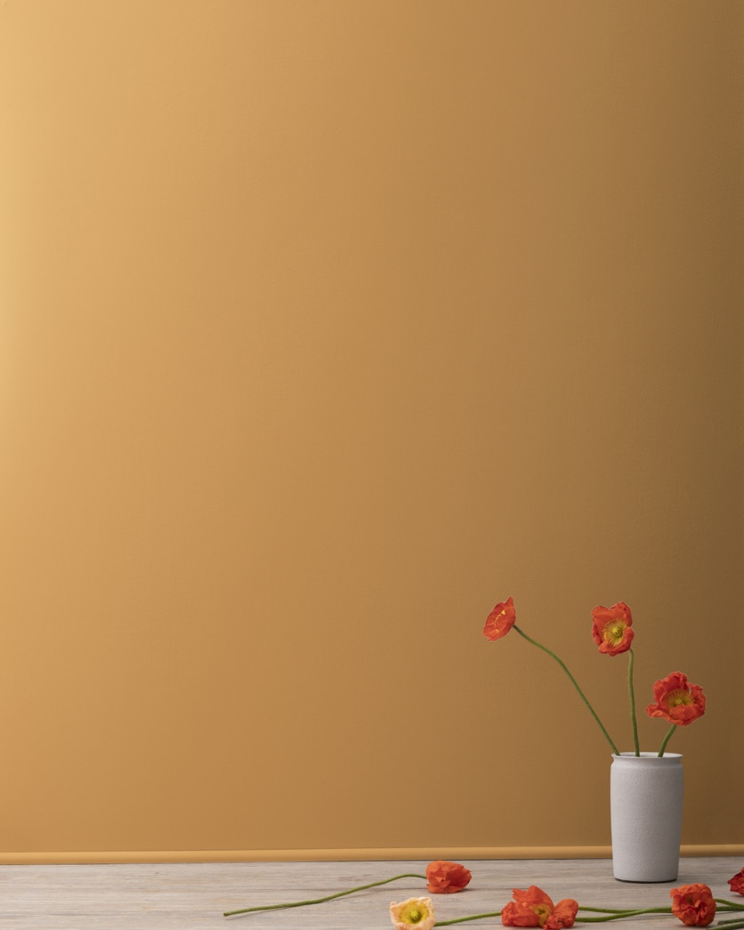 Painted wall in Golden Retriever 2165-30