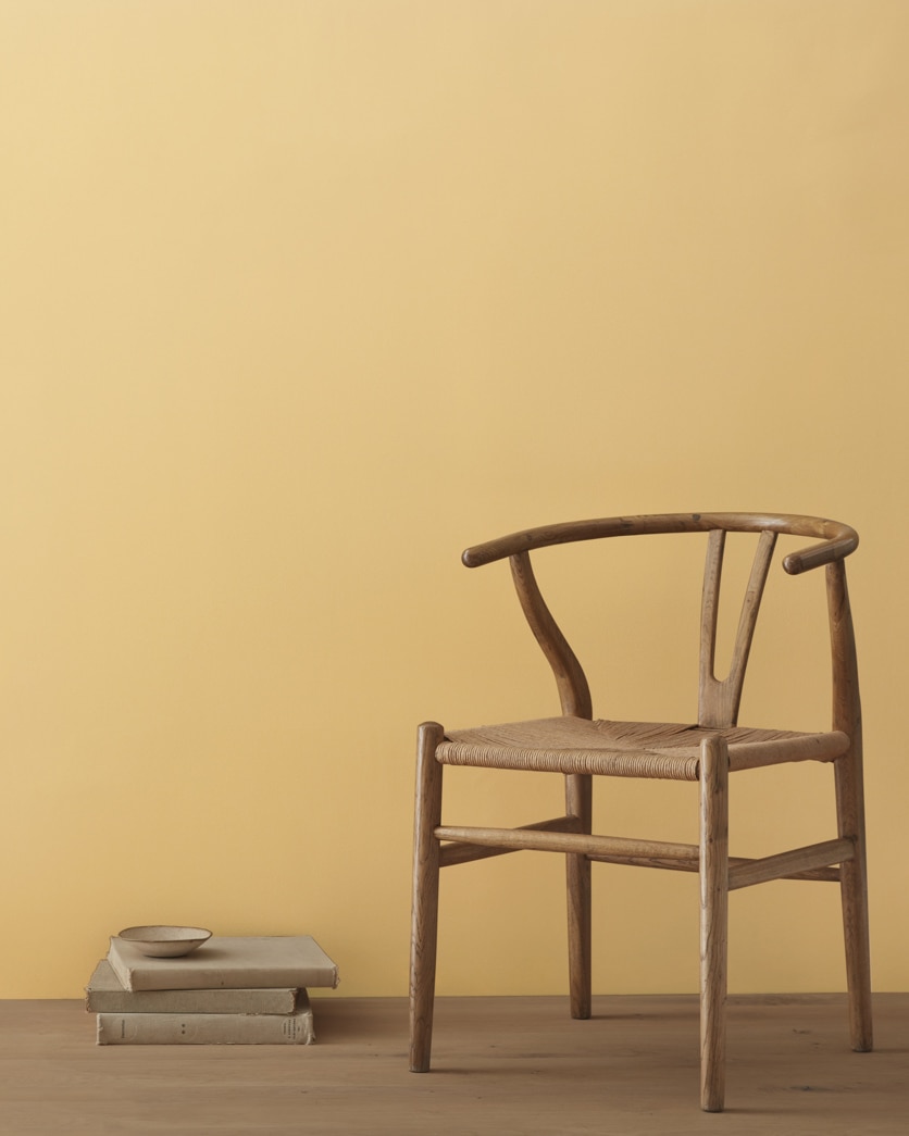 Painted wall in Golden Tan 2152-40