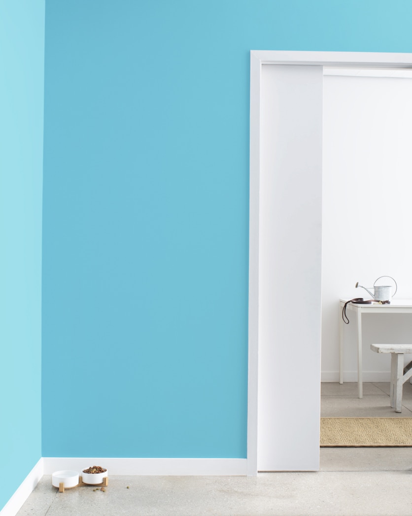 Painted wall in Graceful Sea 767