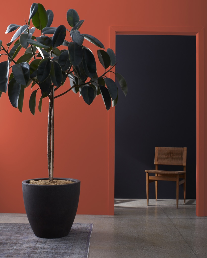 Painted wall in Grand Canyon Red 2090-10