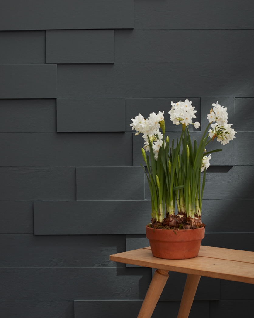Painted wall in Graphite 1603