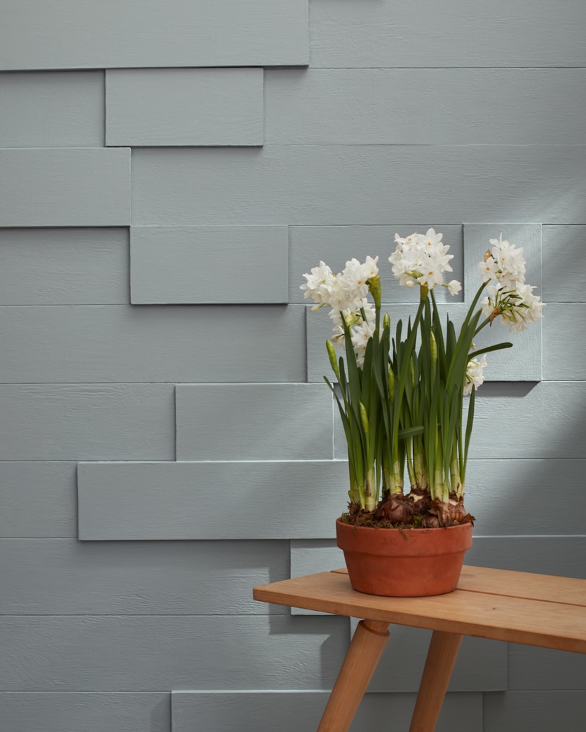 Painted wall in Gray Cardigan 1600