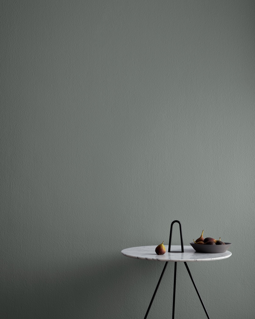 Painted wall in Gray Gardens CSP-55