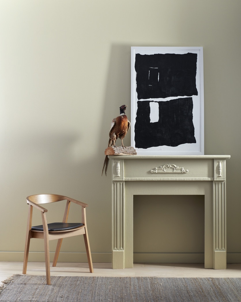 Painted wall in Gray Mirage 2142-50