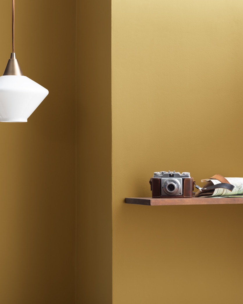 Painted wall in Grecian Gold 224