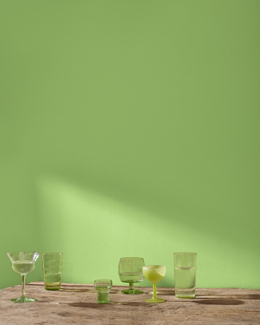 Painted wall in Green Thumb CSP-870