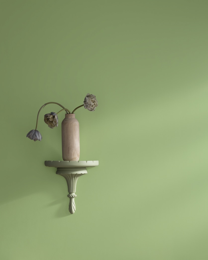 Painted wall in Grenada Green 432