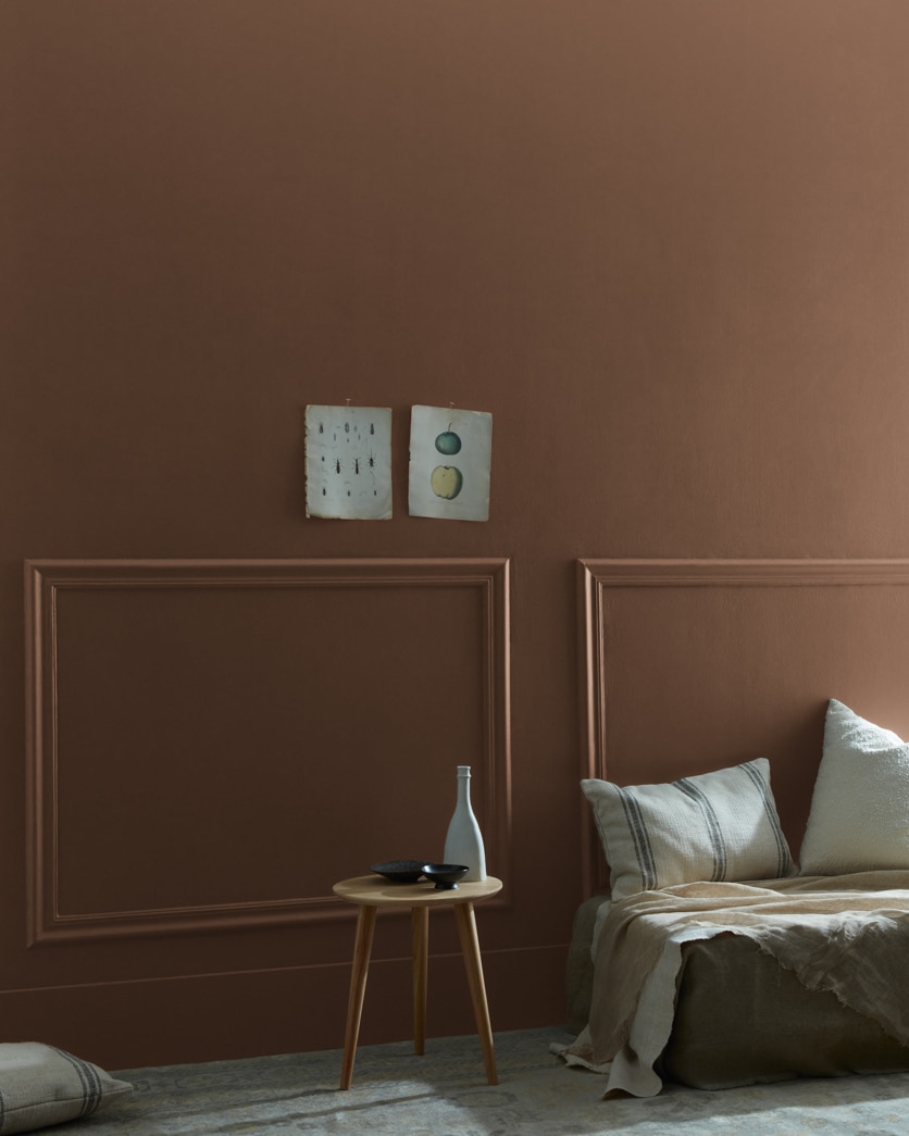 Painted wall in Grizzly Bear Brown 2111-20