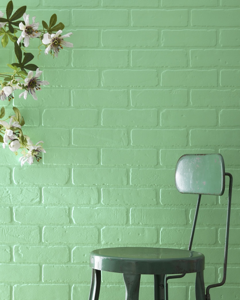 Painted wall in Gumdrop 564