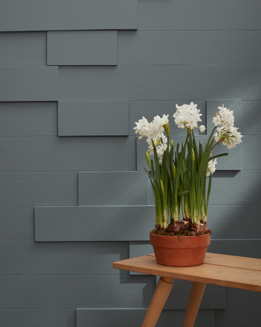 Painted wall in Gunmetal 1602