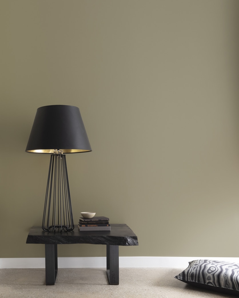 Painted wall in Hampshire Gray HC-101