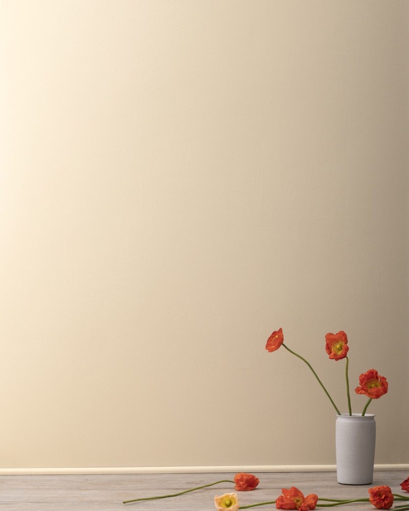 Painted wall in Harmony AF-90