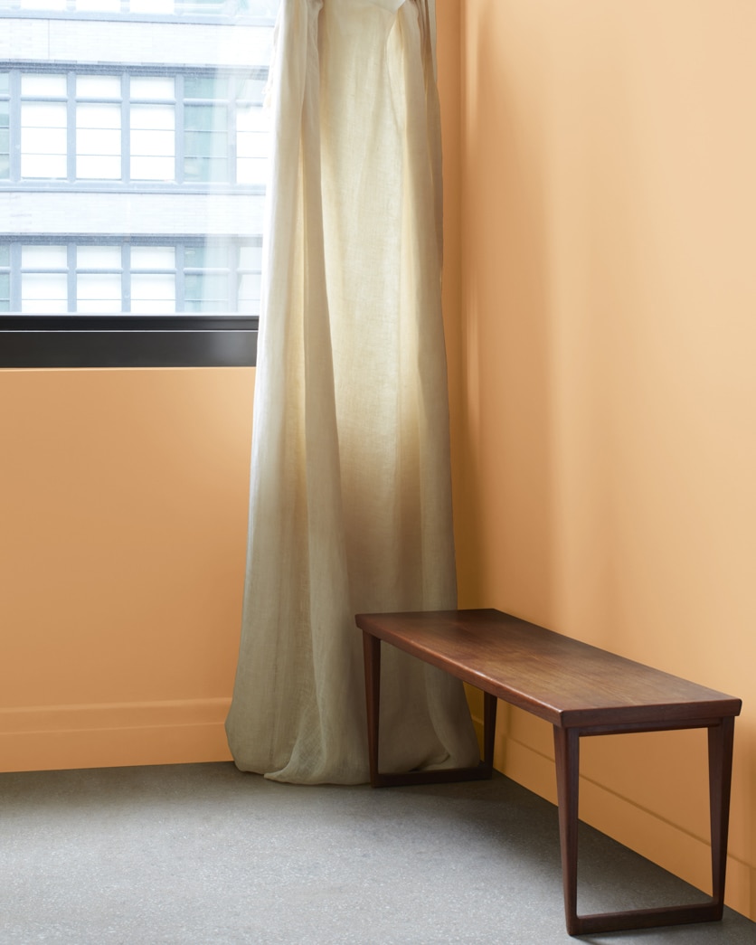 Painted wall in Harvest Bronze 1146