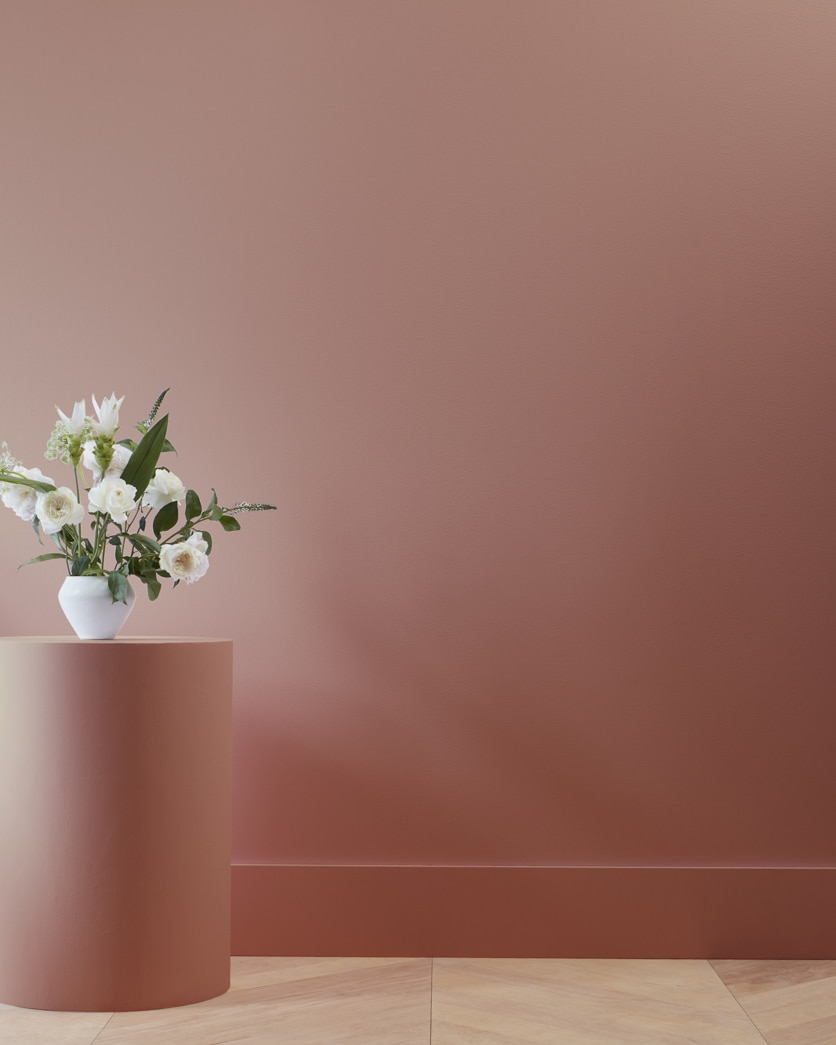 Painted wall in Harvest Brown 2104-30