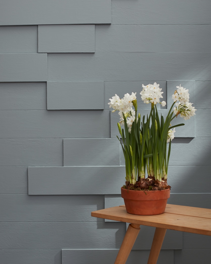 Painted wall in Hearthstone 1601