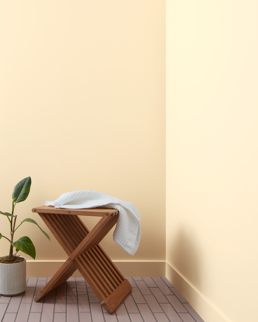 Painted wall in Hepplewhite Ivory HC-36