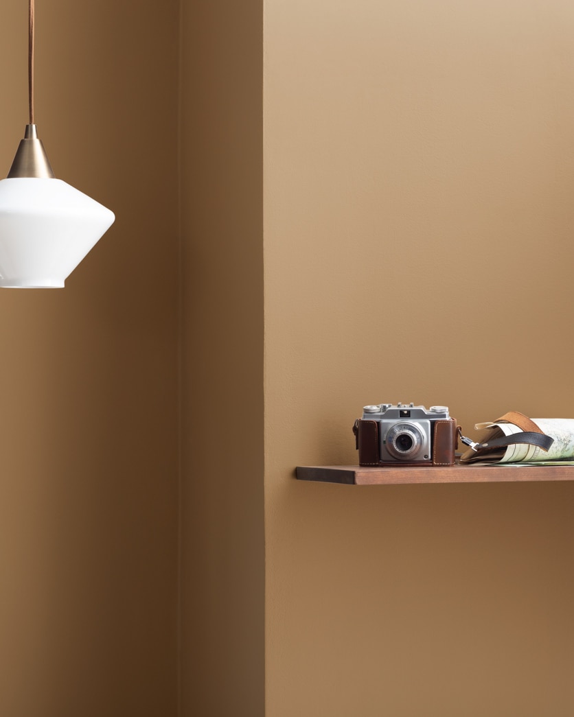 Painted wall in Hillcrest Tan 1078