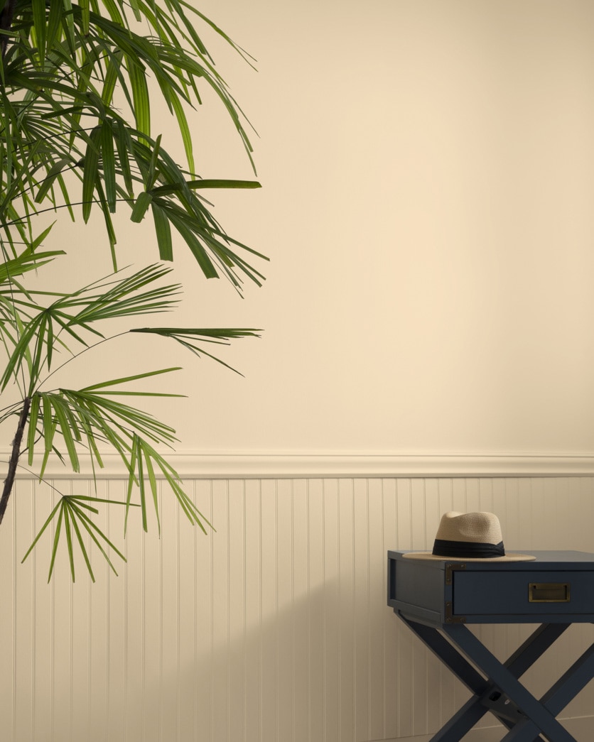 Painted wall in Hilton Head Cream 1107