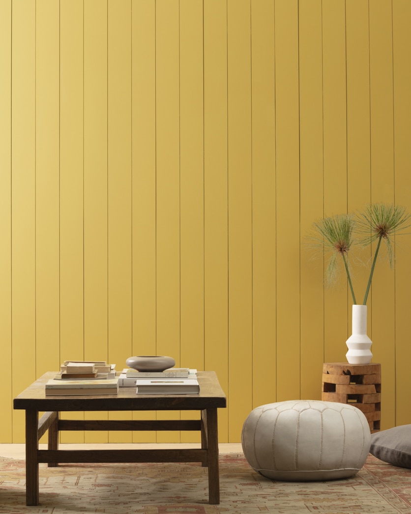 Painted wall in Hollywood Gold 279