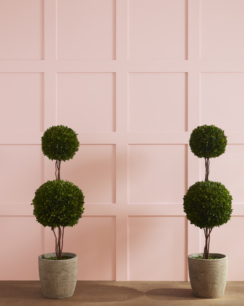 Painted wall in Honey Hut 2102-60