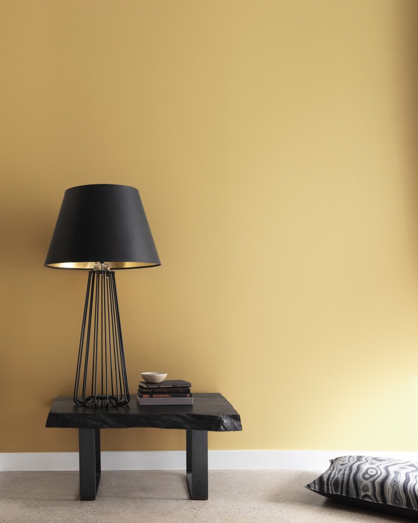 Painted wall in Honey Oak 257