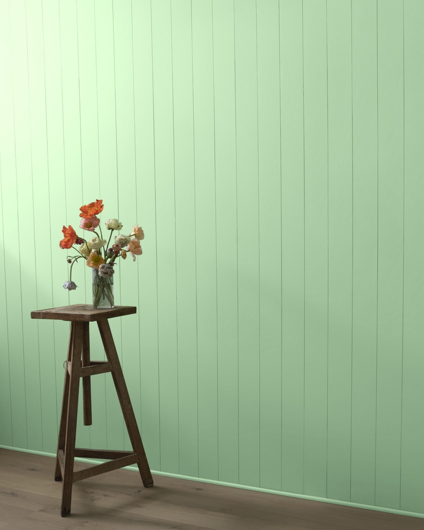 Painted wall in Honeydew 549