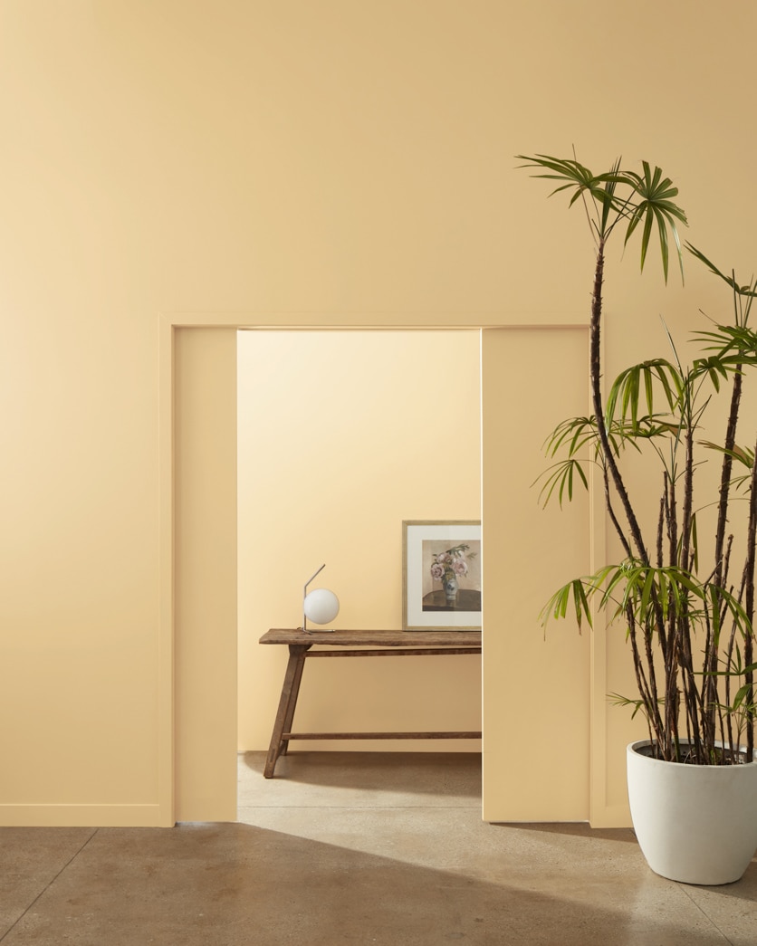 Painted wall in Honeymoon AF-345