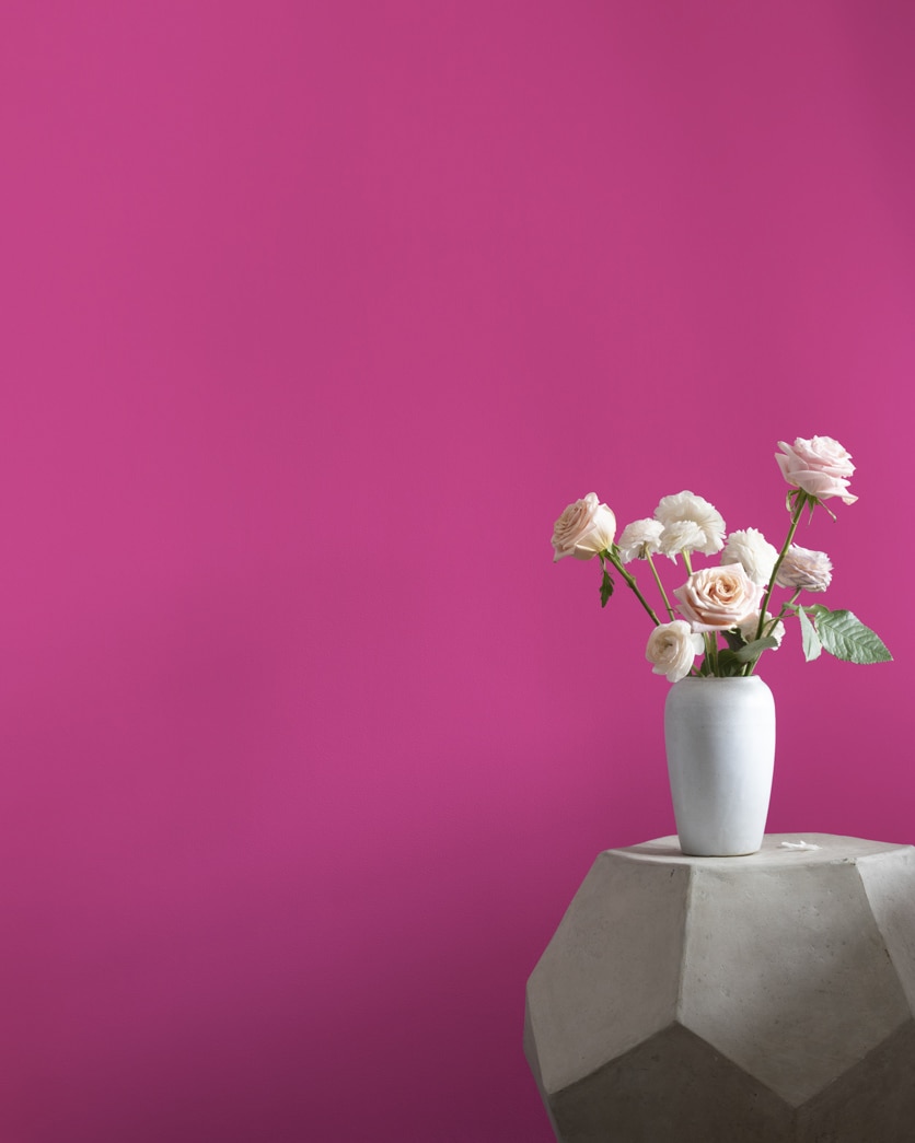Painted wall in Hot Lips 2077-30