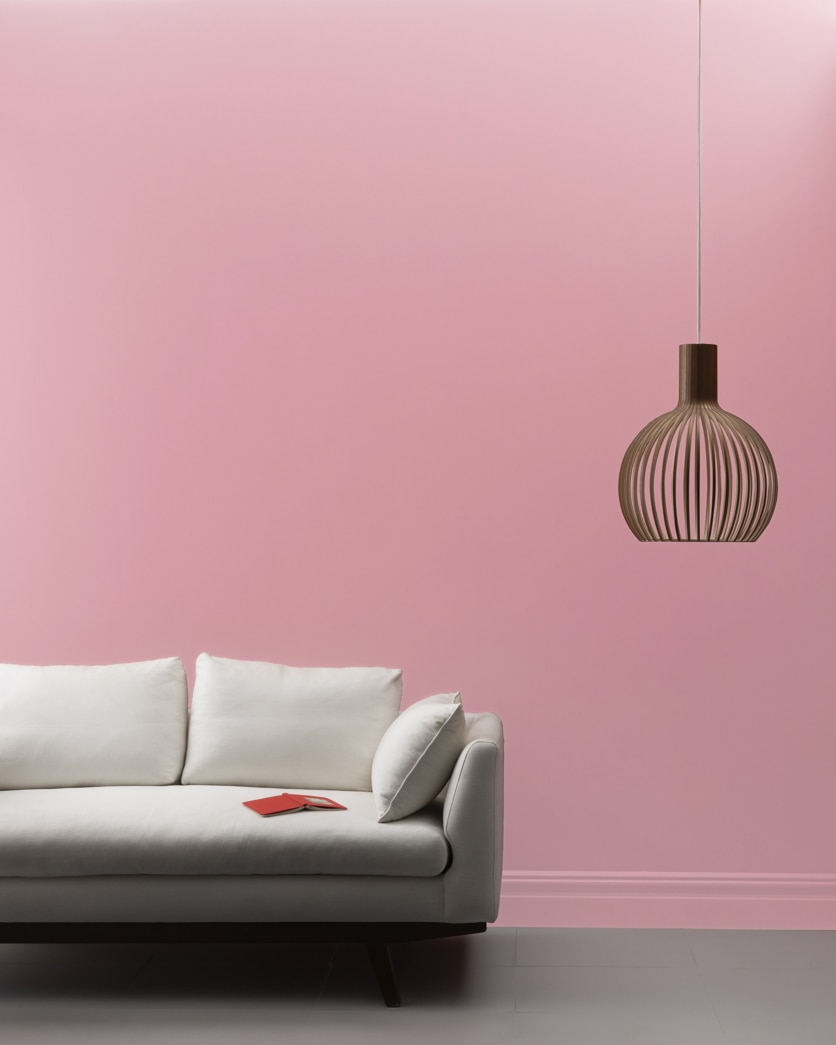 Painted wall in Hummingbird 1271