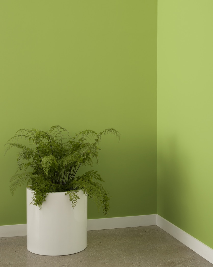 Painted wall in Huntington Green 406