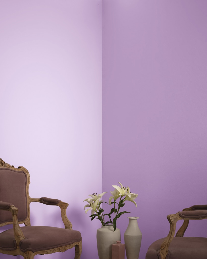 Painted wall in Hydrangea 1390