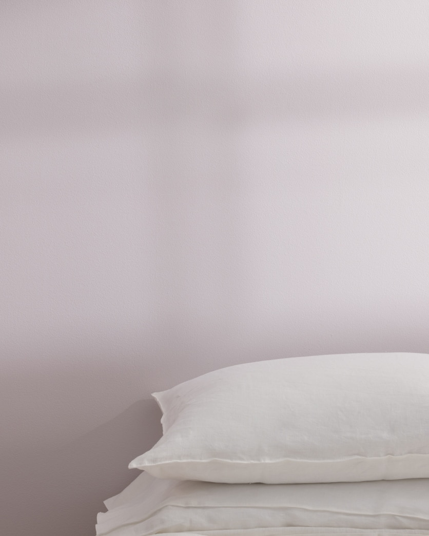 Painted wall in Iced Mauve 2115-50