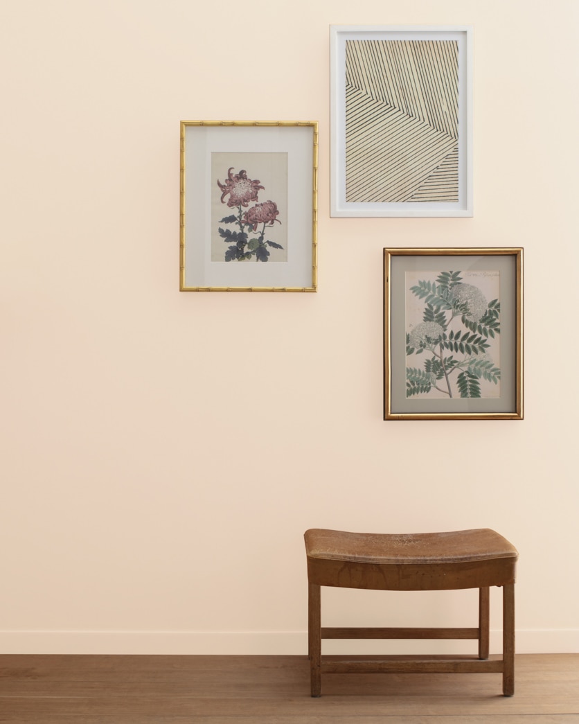 Painted wall in Inner Peach 1150