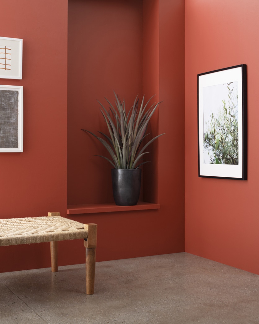 Painted wall in Iron Ore Red 2089-10