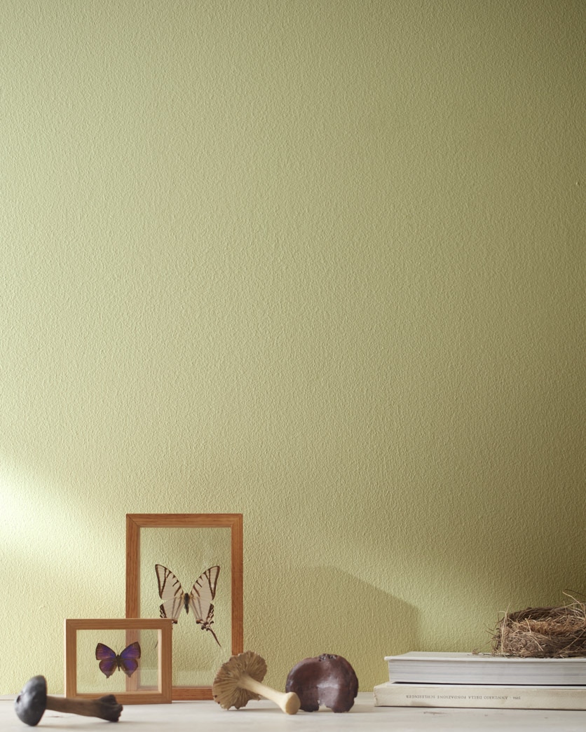 Painted wall in Ivy Lane 523