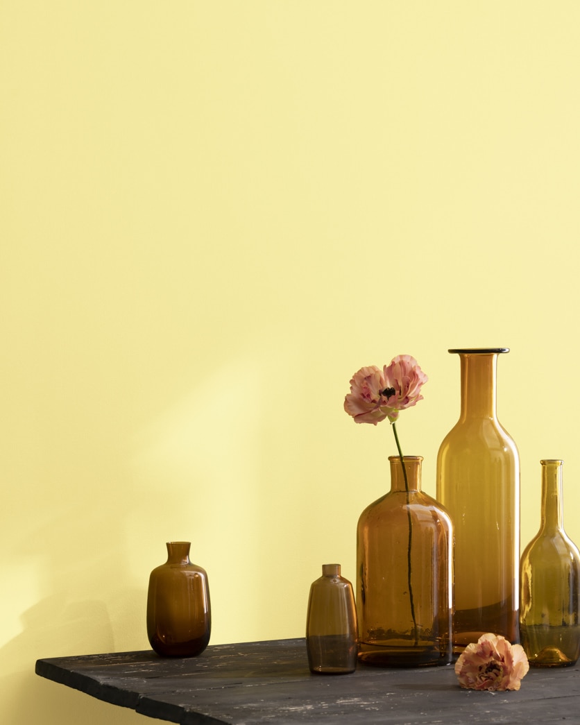 Painted wall in Jasper Yellow 2024-50