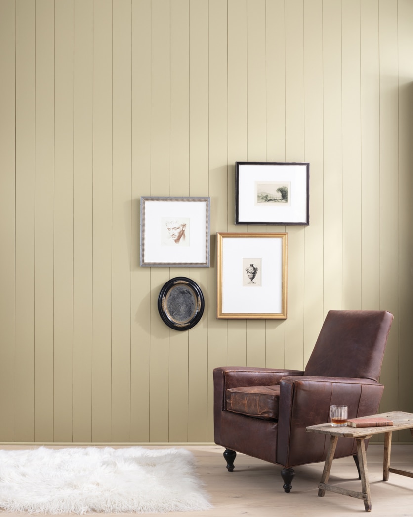 Painted wall in Jonesboro Cream 241