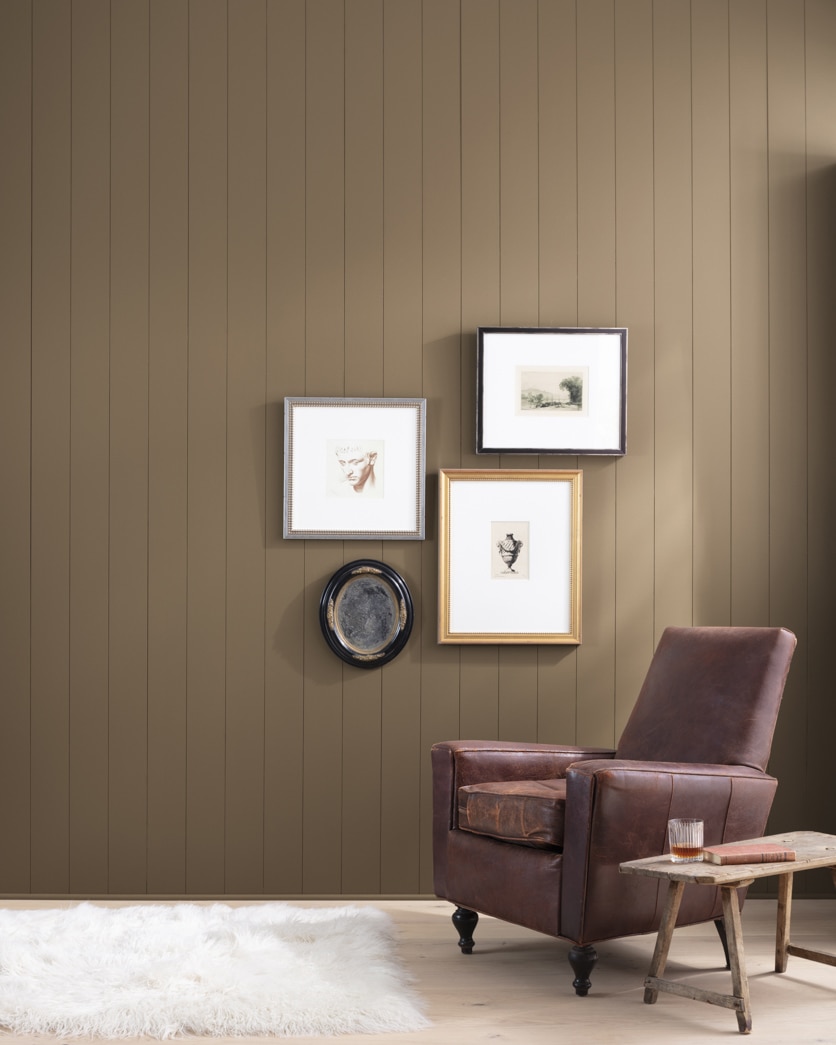 Painted wall in Kentucky Birch CSP-265